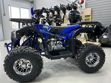 Квадроцикл PROMAX SPACE 200