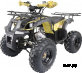 Квадроцикл (АТV) "TERMIT TT ATM"