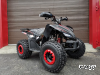 Квадроцикл PROMAX SPORT - PRO 180 (2025)