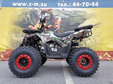 Квадроцикл WELS Thunder E2 PRO-SPORT