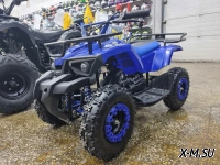 Квадроцикл PROMAX ATV MINI 2T 70CC р/с