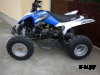 Квадроцикл ATV Pantera 150 CVT