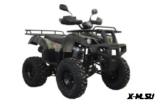 Квадроцикл UNIVERSAL Avenger 250 MECHANICS