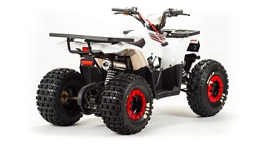 Квадроцикл MOTOLAND (МОТОЛЕНД) 125 WILD