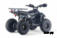 Квадроцикл RIVERTOYS LEON 49CC