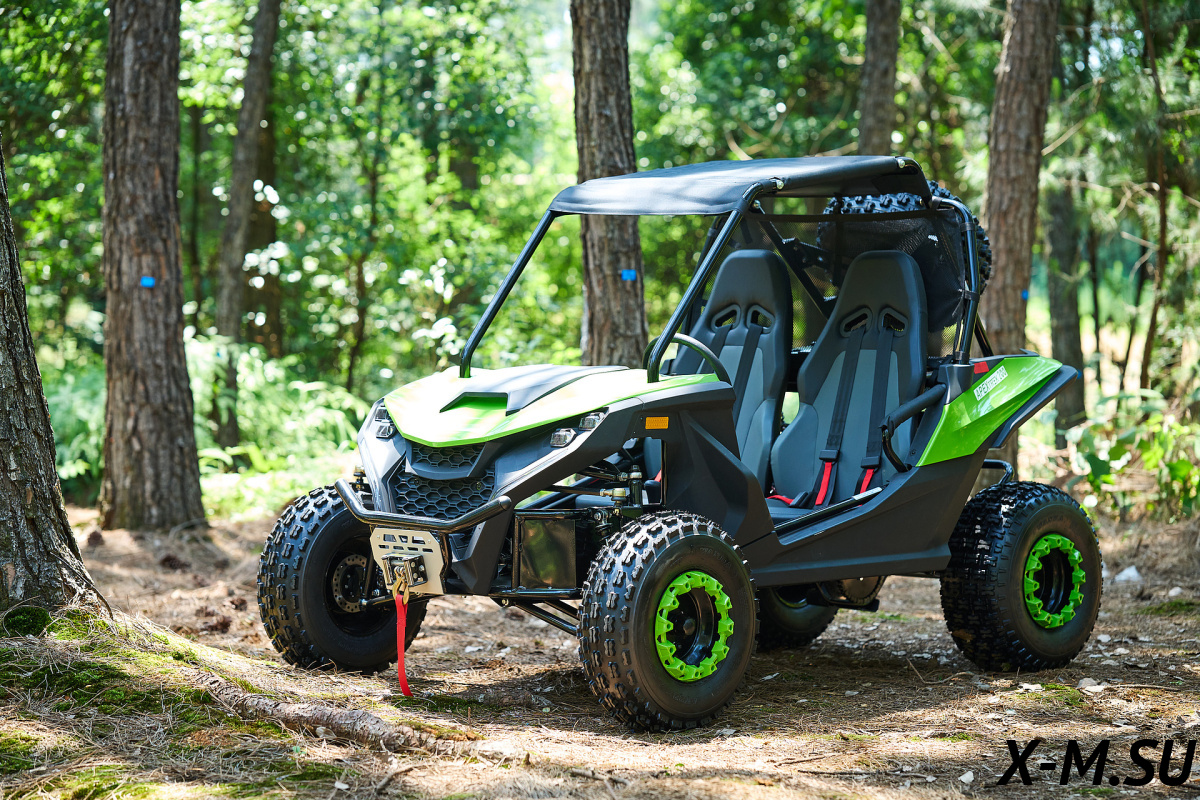 Багги UTV PROMAX Ranger 250 Багги UTV PROMAX Ranger 250