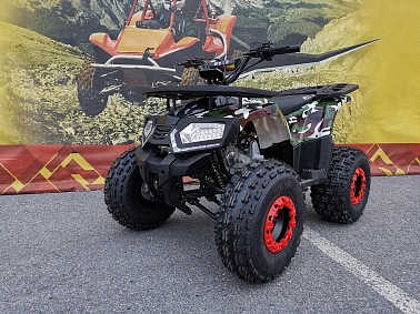 Квадроцикл WELS Thunder E2 PRO-SPORT