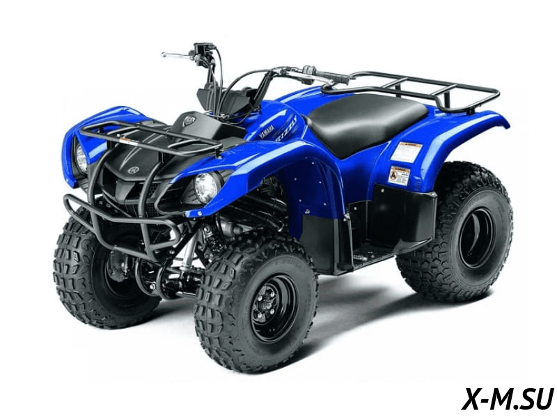 Квадроцикл Grizzly 125 Квадроцикл Grizzly 125